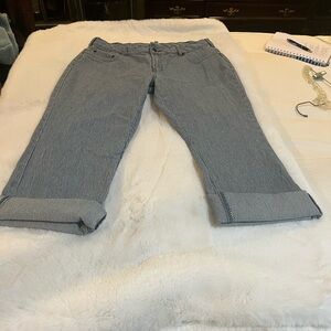 Diane Gilman Pinstripe Jeans Size 16WP